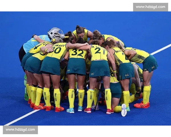 桑巴军团与橙衣军团巅峰对决历史荣耀与战术博弈世界杯舞台再燃激情之夜