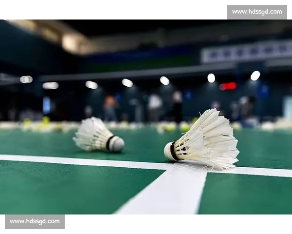 羽毛球涨价超黄金 70%:一根羽毛背后的供需战争