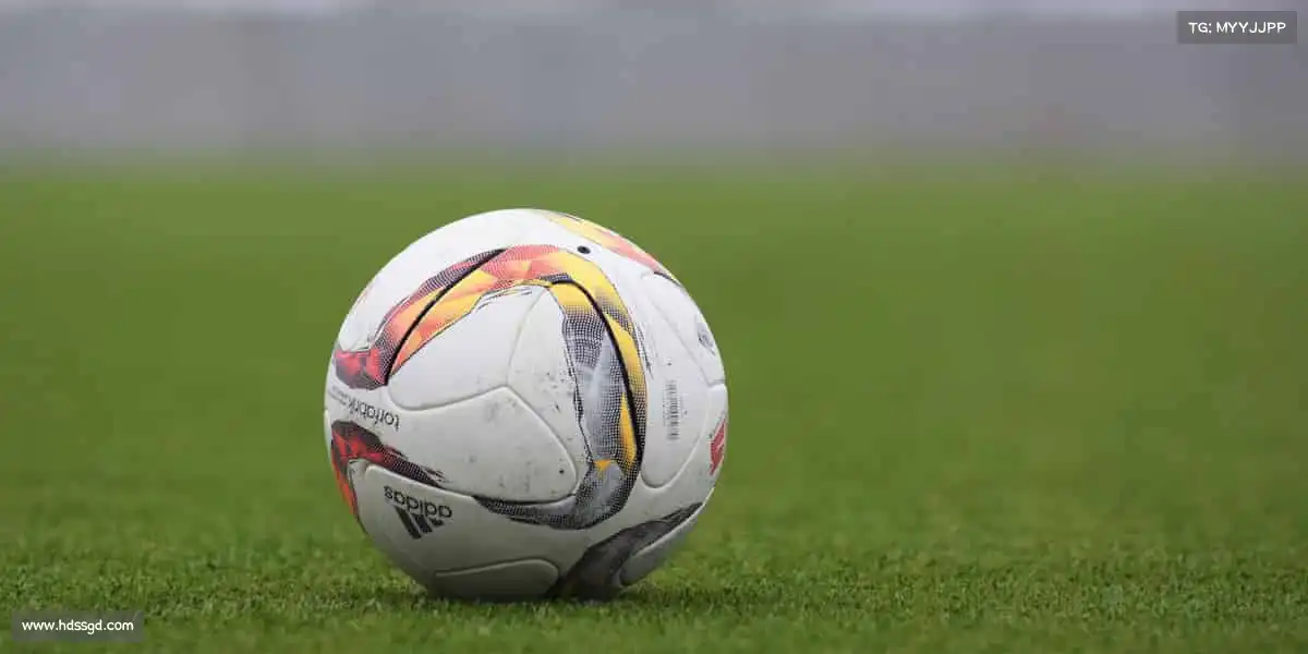 为什么选择我们